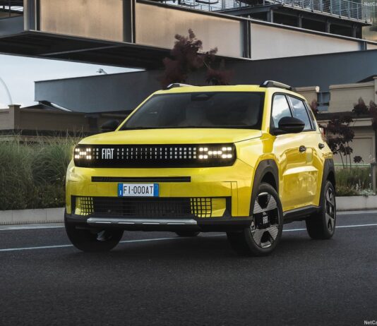 Algeria 2025. Jetour And Haval Surge Against The Trend While H1 Losses Sharpen