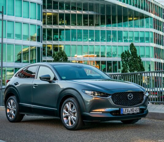 Singapore 2025. BYD Displaced Toyota Amidst Impressive Momentum And Secured Top Spot