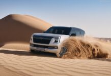 UAE 2025. Chinese Carmakers Ride Momentum, Jetour And Geely At Forefront