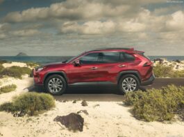 Oman 2025. Nissan Skyrockets Into 5th While Sales Momentum Flatlines