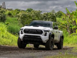 Tanzania 2025. Jetour Shines Among Top Brands, Rising Through The Ranks