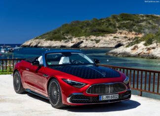 What Are the Best Ways to Improve Driver Safety With Your Fleet?